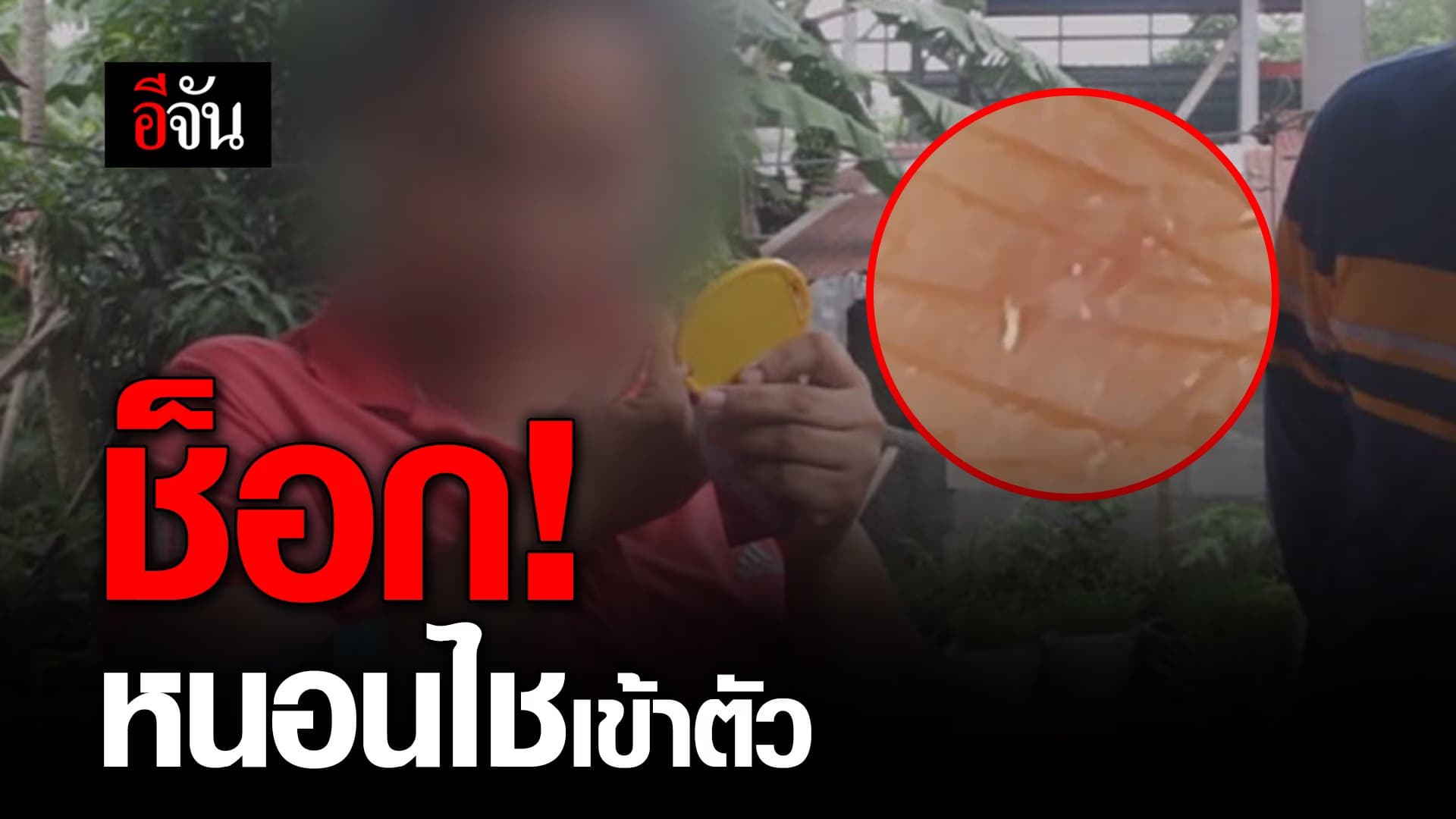 🎬 ช็อก! หนอนไชเข้าตัว
