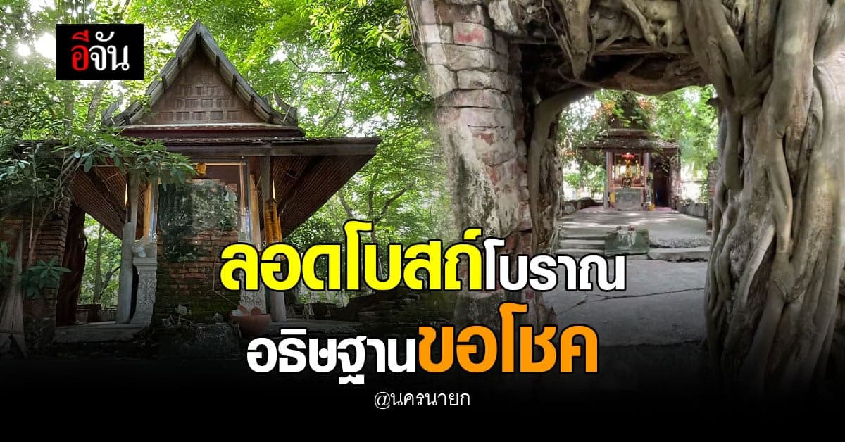 ชาวนครนายก แห่ลอดโบสถ์ปรกโพธิ์ ที่วัดเลขธรรมกิตติ์ เชื่อจะโชคดี