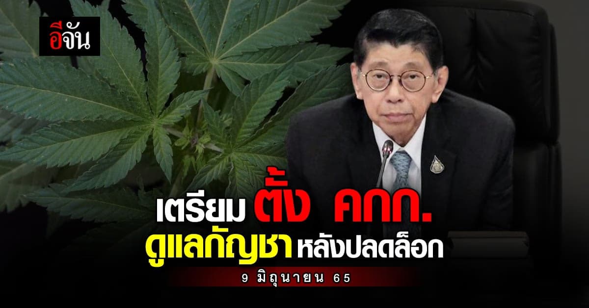 วิษณุ เตรียม ตั้ง คกก. ดูแล นโยบาย กัญชา หลัง ปลดล็อก 9 มิ.ย. 65