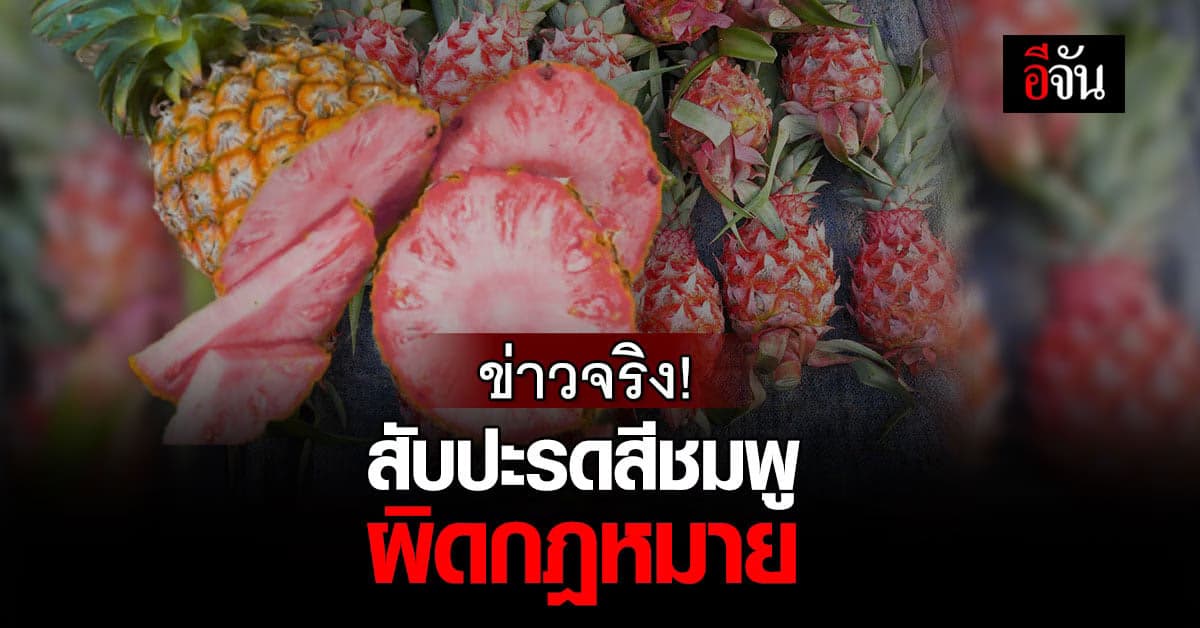 ยืนยันแล้ว สับปะรดสีชมพู ห้ามนำเข้า ผู้กระทำผิดมีโทษจำหรือปรับ