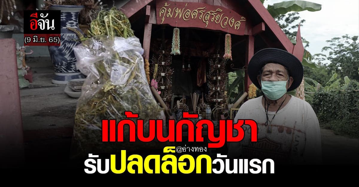 ชาวบ้านอ่างทอง แก้บนพ่อศรสุริยวงศ์ ด้วยกัญชา หลังรัฐบาลปลดล็อก