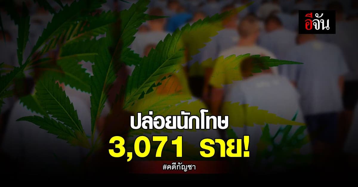 กรมราชทัณฑ์ ปล่อยตัวนักโทษ คดีกัญชา 3,071 ราย