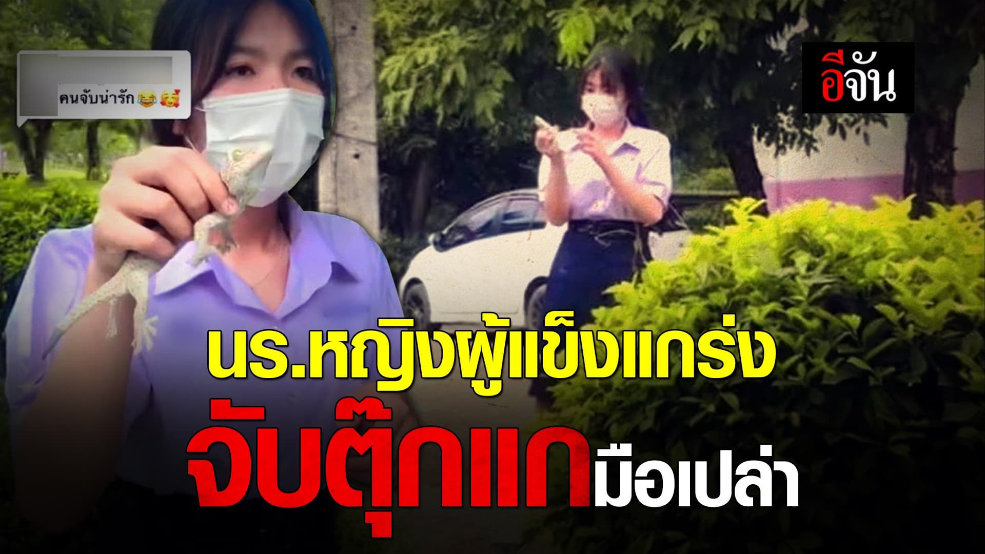 🎬 นร.หญิงผู้แข็งแกร่ง จับตุ๊กแกมือเปล่า