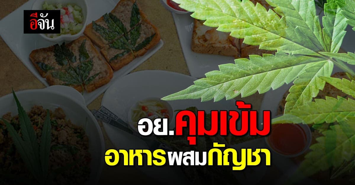 อย. คุมเข้ม อาหารผสมกัญชา เพื่อความปลอดภัยผู้บริโภค