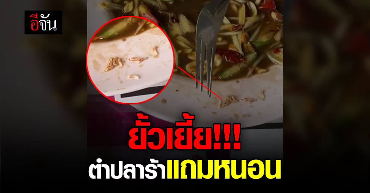 สาวโพสต์คลิป สั่งส้มตำกินจนเกลี้ยง สุดท้ายเจอหนอนยั้วเยี้ย
