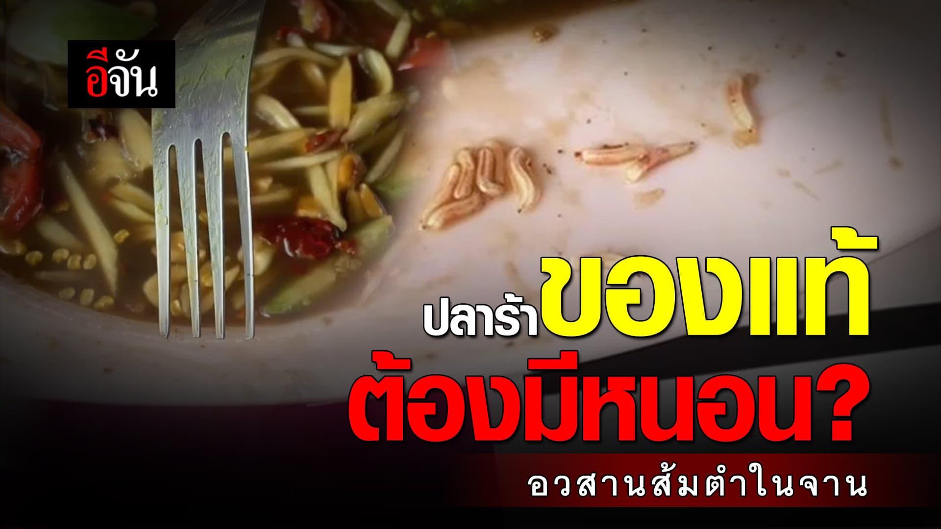 🎬 ปลาร้าของแท้ต้องมีหนอน? อวสานส้มตำในจาน