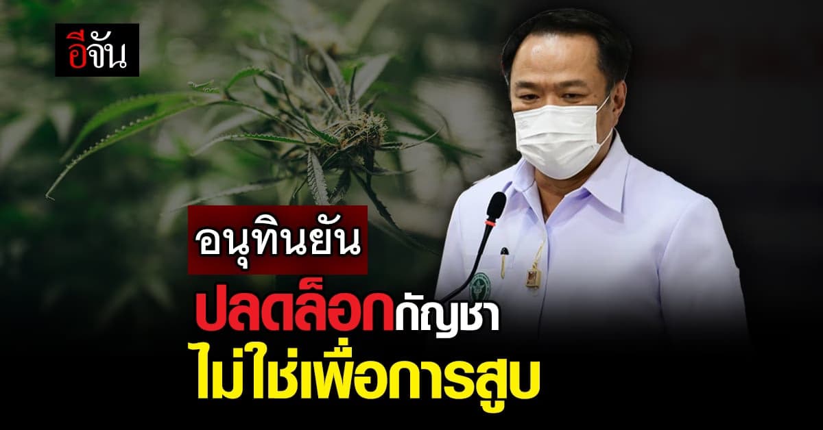 อนุทิน ยันปลดล็อกกัญชา มุ่งเน้นเรื่องการแพทย์ และสุขภาพไม่ใช่การเสพ