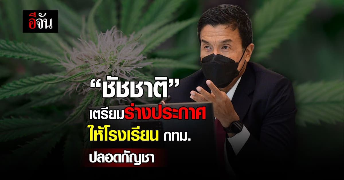 “ชัชชาติ” ห่วงเยาวชน เตรียมร่างประกาศให้โรงเรียน กทม. ปลอดกัญชา