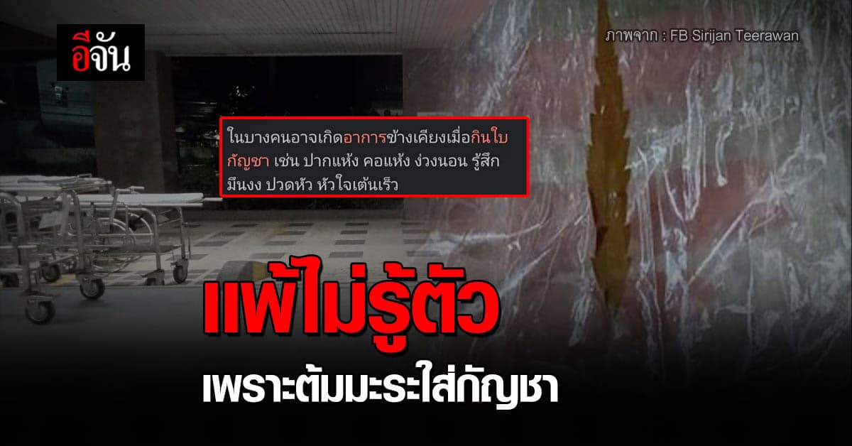 สาวเเพ้กัญชา โพสต์เตือนอุทาหรณ์ ไม่ใช่ทุกคนที่กินได้