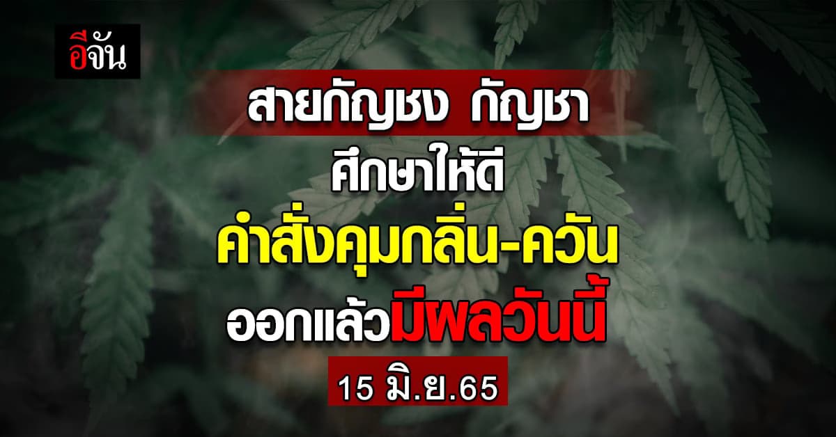 ประกาศกระทรวงสาธารณสุข คุมกลิ่น-ควัน กัญชากัญชง มีผลวันนี้