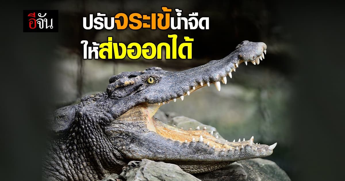 ครม. ปรับลด จระเข้น้ำจืด บัญชี 1 สู่บัญชี 2 ใน CITES ให้ส่งออกได้