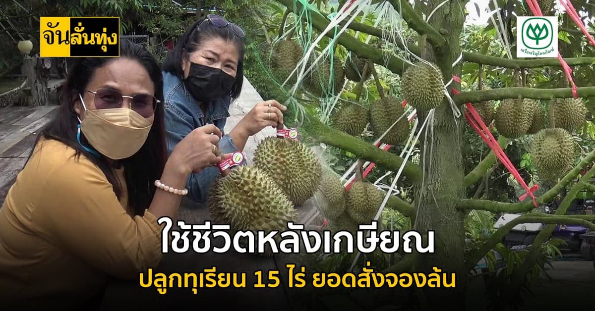 ใช้ชีวิตหลังเกษียณ ปลูกทุเรียน 15 ไร่ ทำเงิน