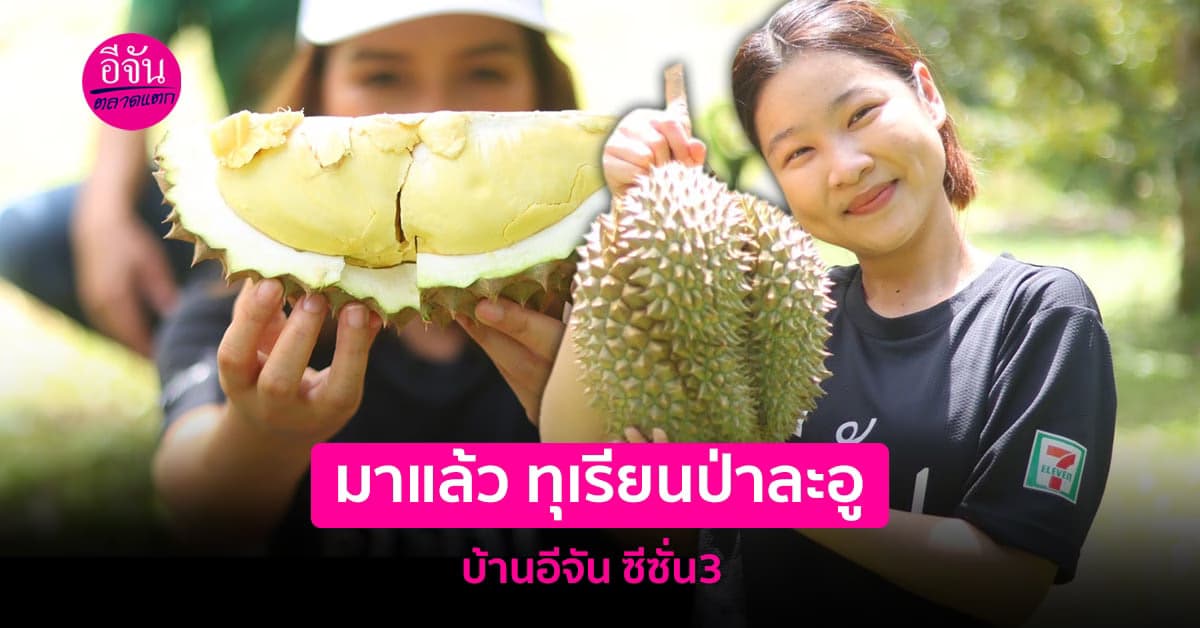 ทำความรู้จักทุเรียนป่าละอู หมอนทอง GI แห่งห้วยสัตว์ใหญ่