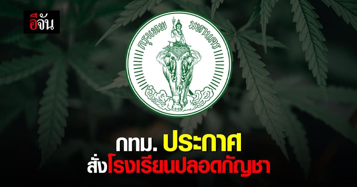 กทม. ออกประกาศ ให้โรงเรียนในสังกัด ต้อง ปลอดกัญชาทุกรูปแบบ