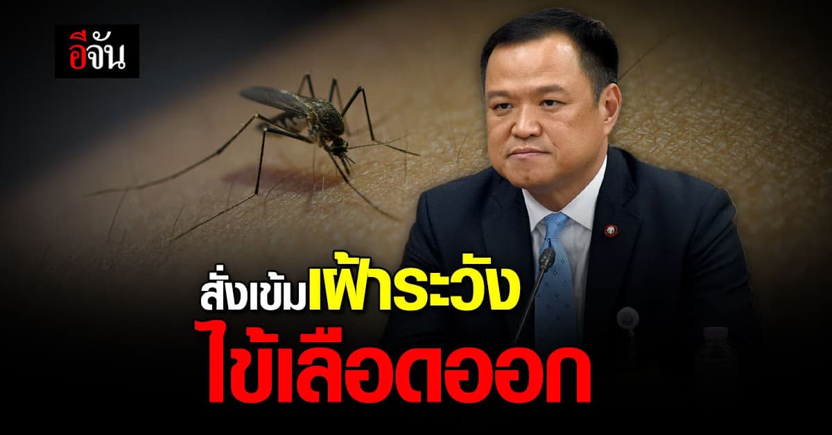 อนุทิน สั่ง เฝ้าระวัง โรคไข้เลือดออก มอบ ชุดตรวจเร็วสำหรับไข้เลือดออก