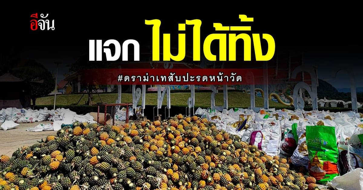 วัดแจงปม! พระซื้อสับปะรดมาแจก เกษตรกรไม่ได้เอามาเท