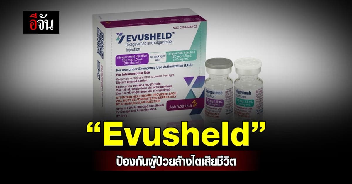 สธ. เล็งใช้ “Evusheld” ป้องกัน ผู้ป่วยล้างไต เสียชีวิต ชี้คุ้มค่าสุด