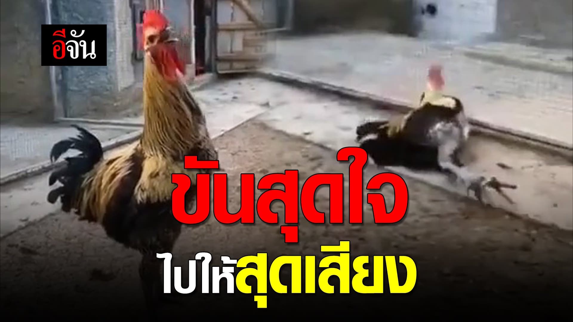 🎬 ขันสุดใจ ไปให้สุดเสียง