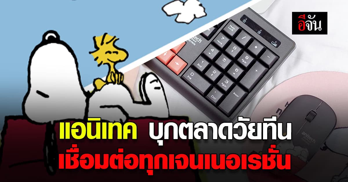 แอนิเทค ทุ่มงบขยายกลุ่มลูกค้า คอลแลปส์ แบรนด์ดัง ระดับโลก