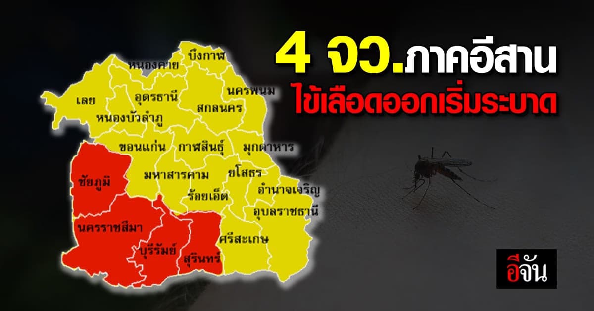 ไข้เลือดออกเริ่มระบาดแล้ว 4 จว.ภาคอีสาน พบผู้ป่วย 264 คน