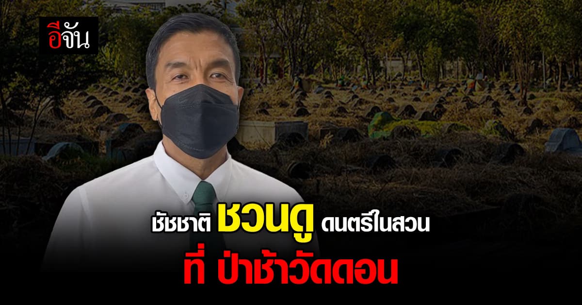 ชัชชาติ ชวนไปงาน ดนตรีในสวน ที่ ป่าช้าวัดดอน