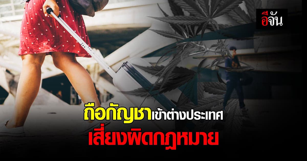 ถือกัญชาเข้าต่างประเทศ เสี่ยงผิดกฎหมาย