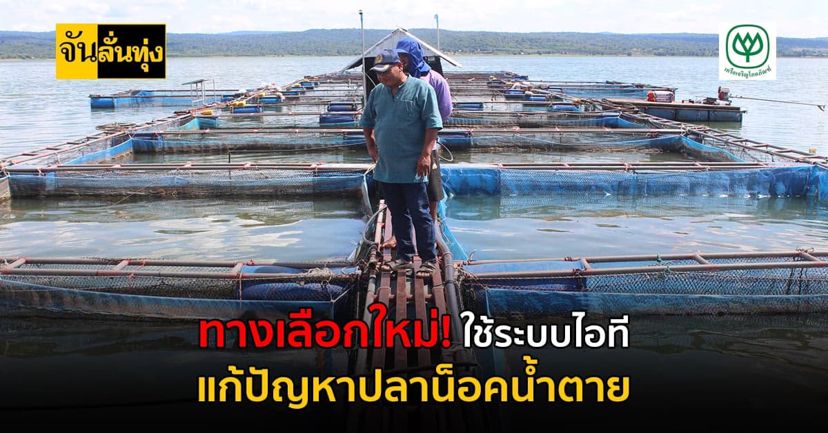 ไอเดียเจ๋ง! เกษตรใช้ ระบบไอที ลดปัญหาปลาน็อคตาย