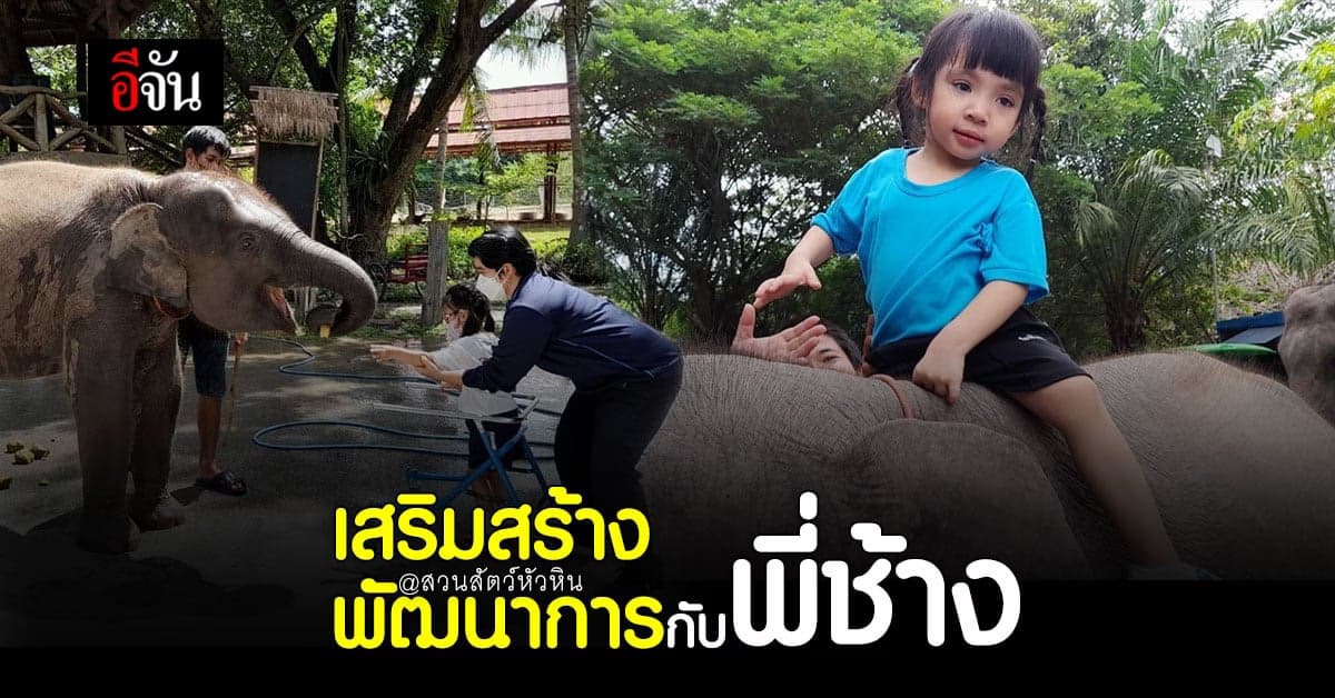 สวนสัตว์หัวหิน ใจดีให้สถานที่จัดกิจกรรม ช้างบำบัด เพื่อเด็กพิเศษ