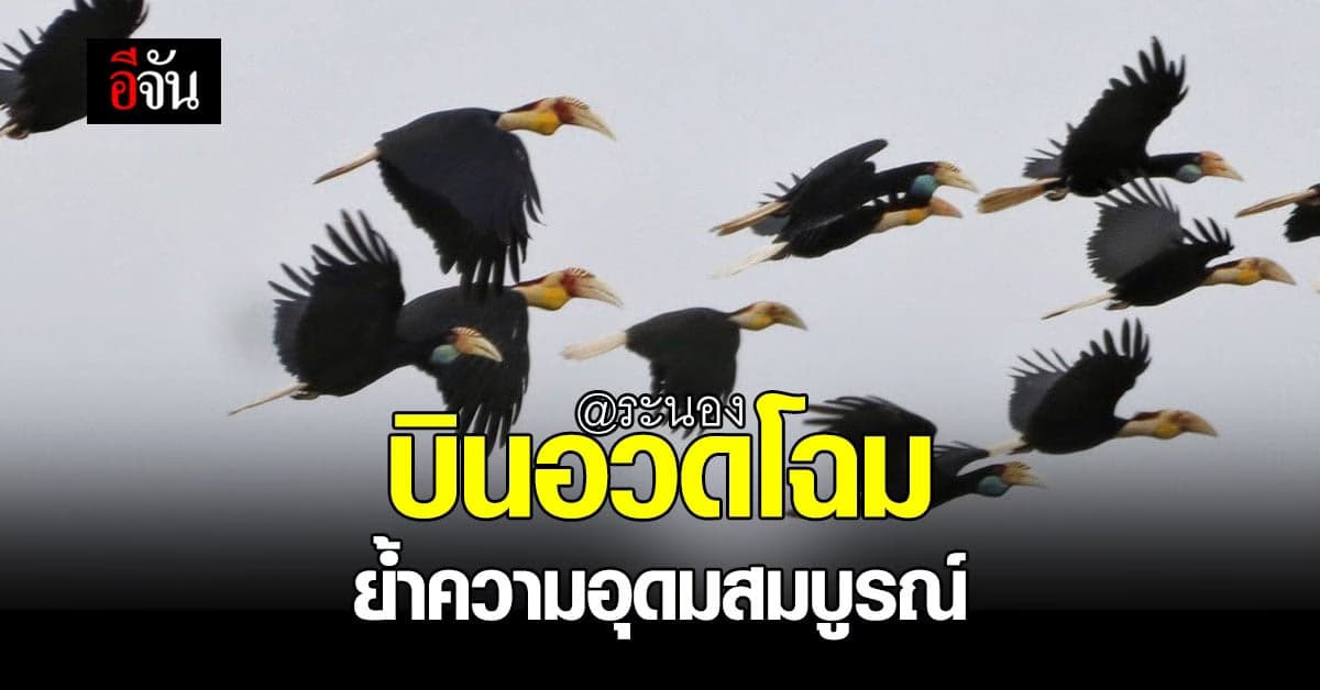 อุทยานแห่งชาติ ย้ำ! ความอุดมสมบูรณ์ของ ธรรมชาติ ผืนทุ่งระยะ-นาสัก