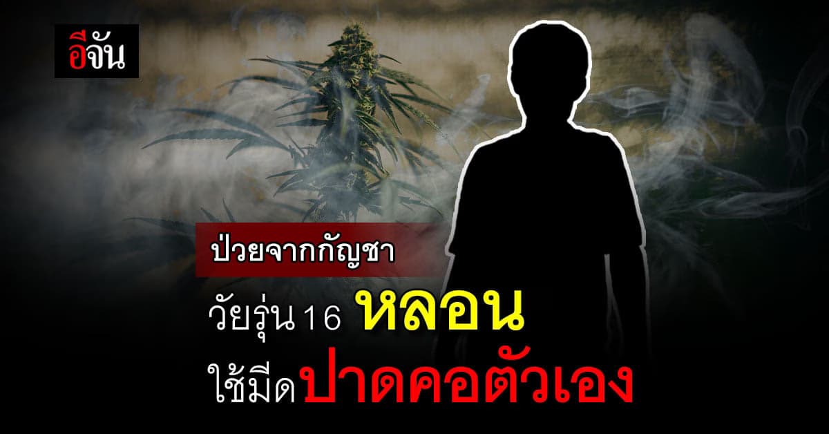 แพทย์ทำงานหนัก พบเด็ก 3 ขวบกินคุกกี้ผสมกัญชาไม่รู้ตัว