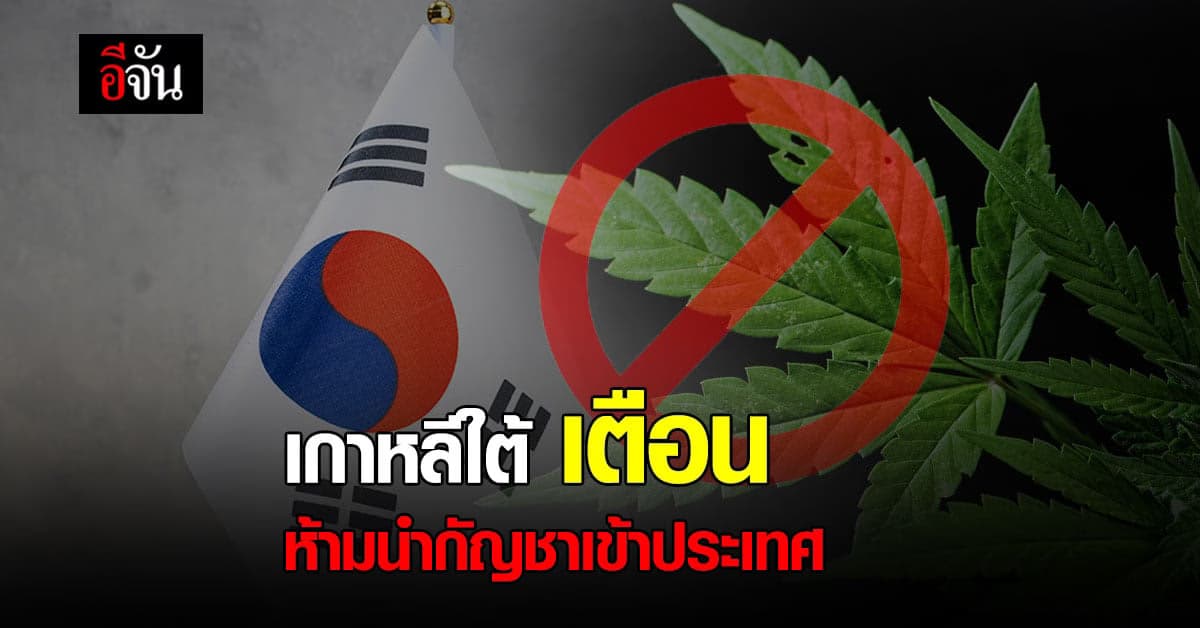 รัฐบาล เตือน กัญชา ยังผิดกฎหมายในบางประเทศ แนะศึกษากฎหมายก่อนเดินทาง