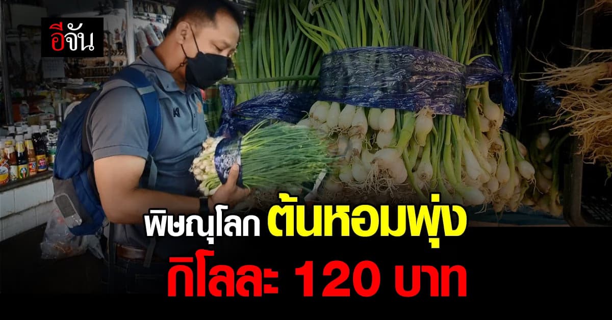 แพงไม่ไหวแล้ว!!! แม่ค้า จ.พิษณุโลก โอด ราคาผักพุ่ง จนเกือบสู้ไม่ไหว