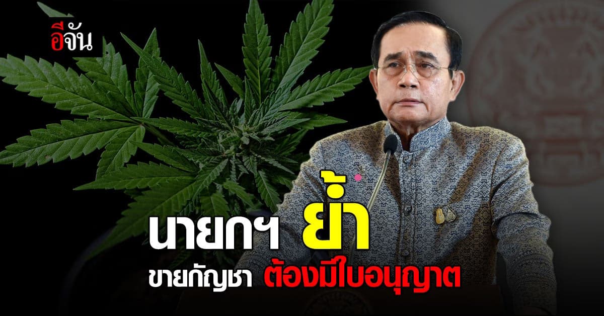 นายกฯ ห่วงเยาวชน ย้ำขายกัญชา ต้องมีใบอนุญาตอย่างถูกต้อง