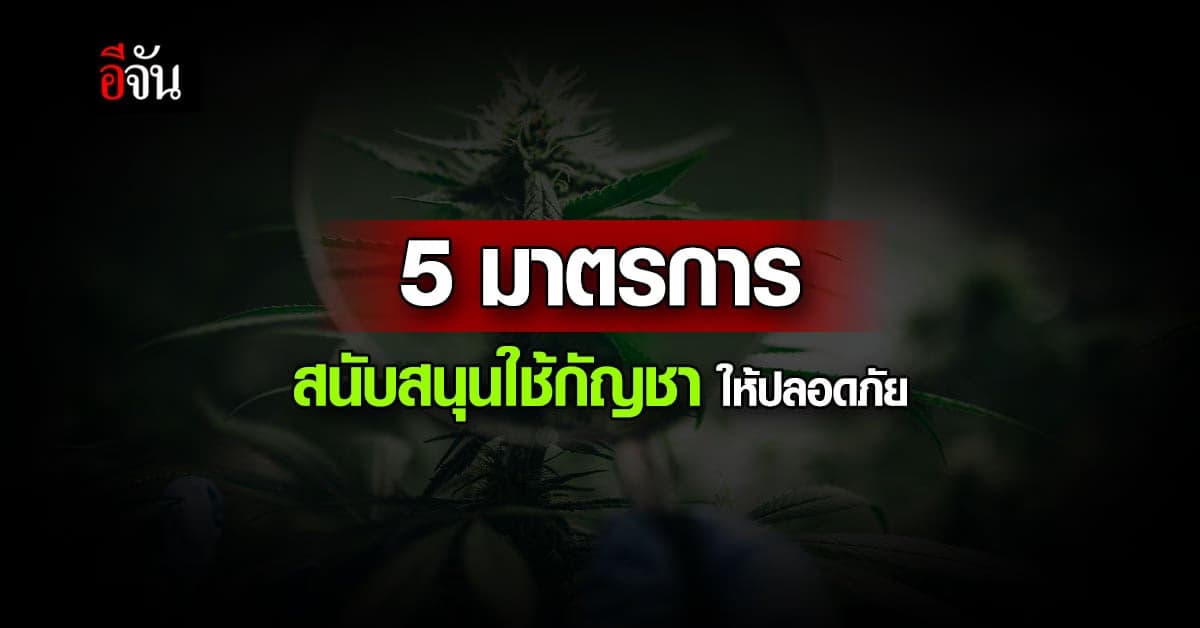 สธ.วาง 5 มาตรการ สนับสนุนการใช้ กัญชา อย่างปลอดภัย