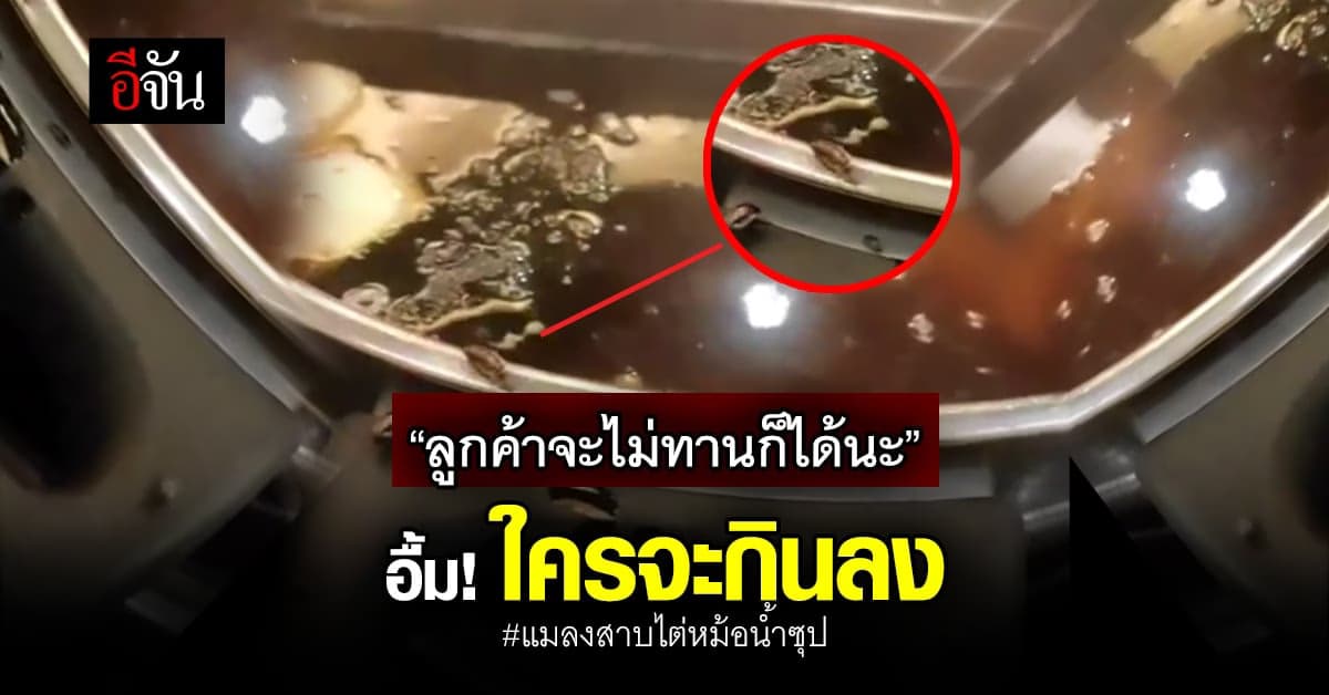 เจอแบบนี้จะกินต่อลงไหม? แมลงสาบไต่รอบหม้อน้ำซุปบุฟเฟต์เจ้าดัง