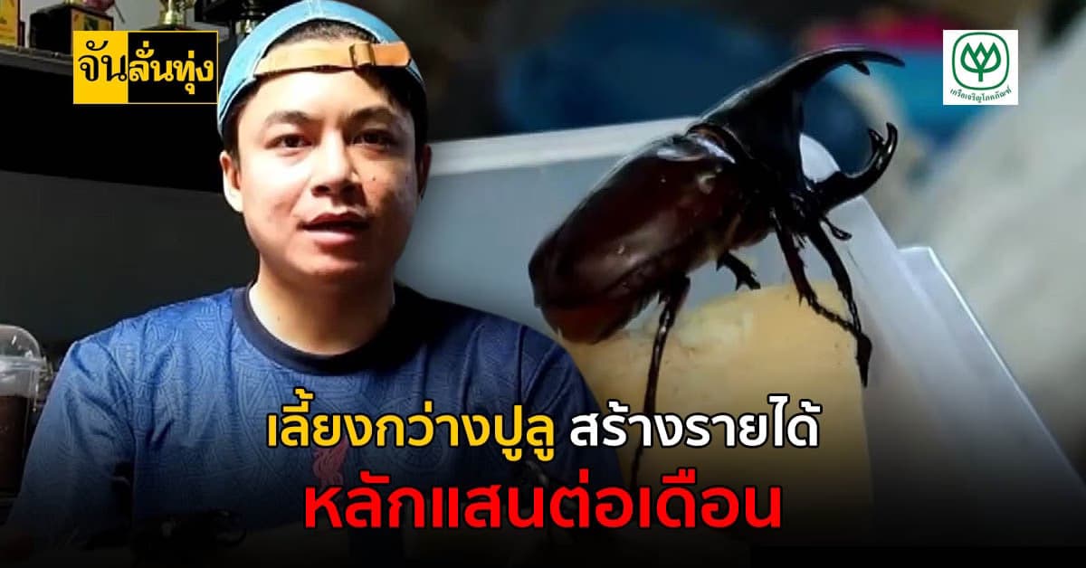 กว่างปูลู สัตว์ทำเงิน สร้างเงินแสนต่อเดือน