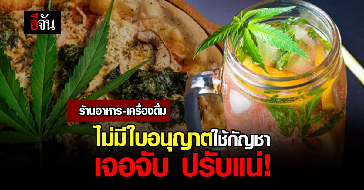 ร้านอาหาร – ร้านเครื่องดื่ม ไม่มีใบอนุญาตใช้ กัญชา เจอจับ ปรับแน่!