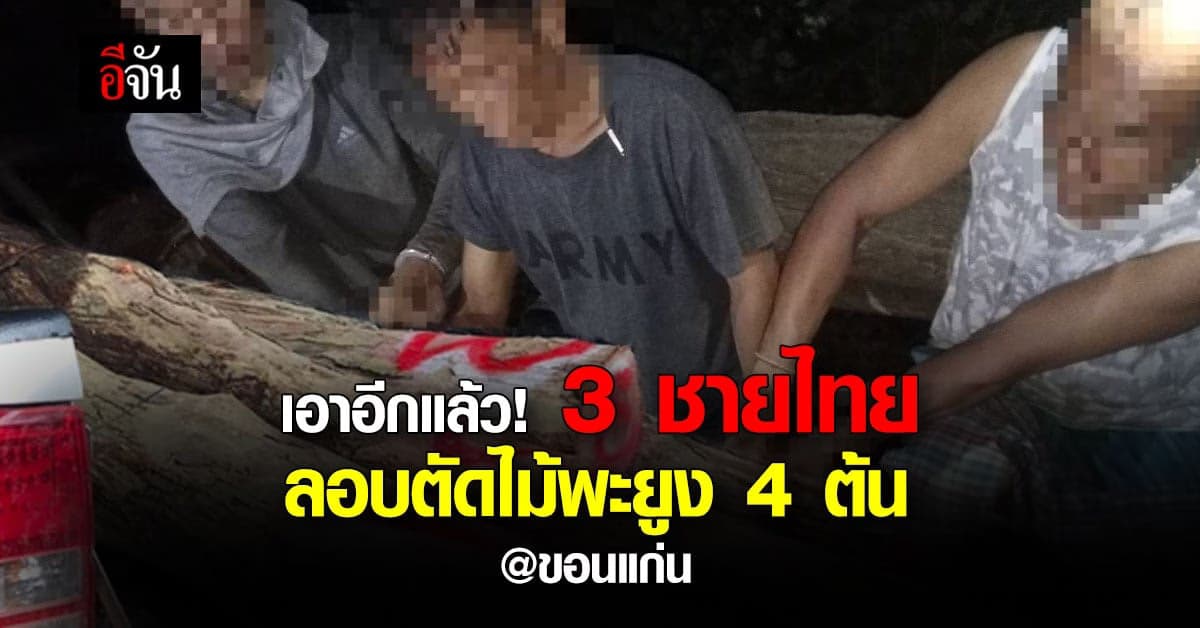 รวบ 3 ชายไทย ลอบตัดไม้พะยูงใหญ่ 4 ต้น!