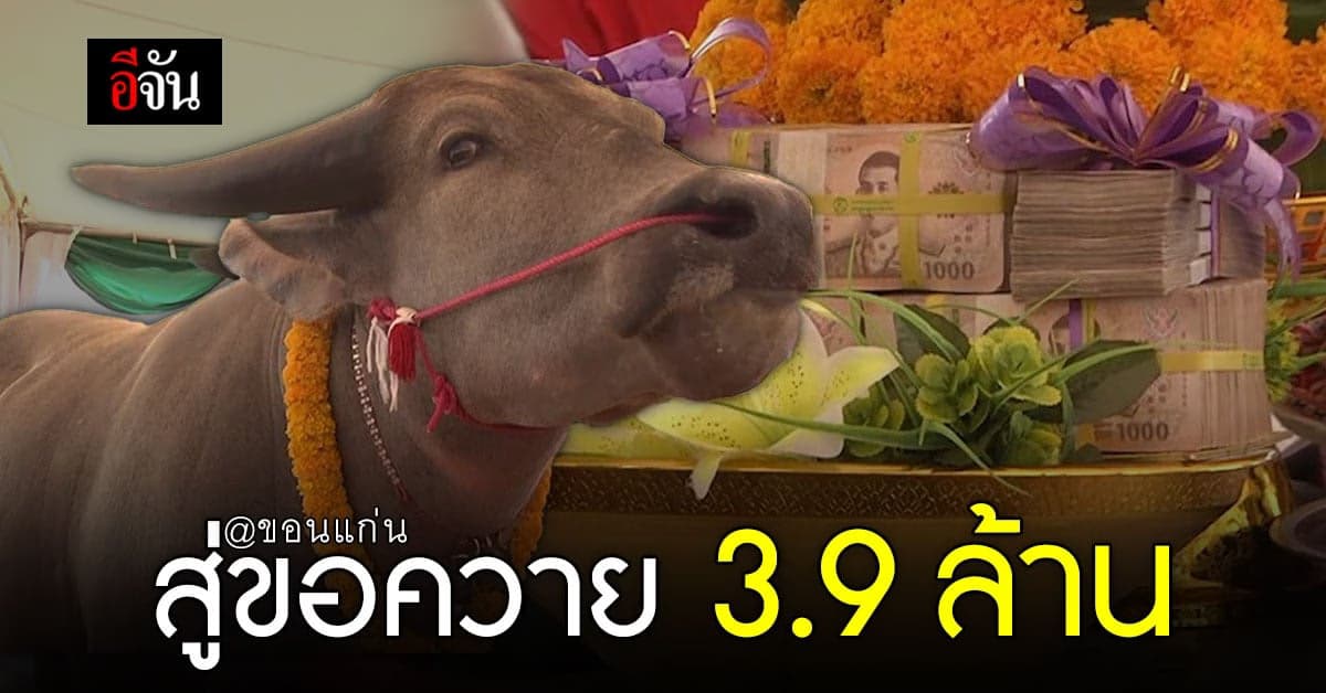 เจ้าของฟาร์มโคราช หอบสินสอด 3.9 ล้าน จัดขบวนสู่ขอควายขอนแก่น
