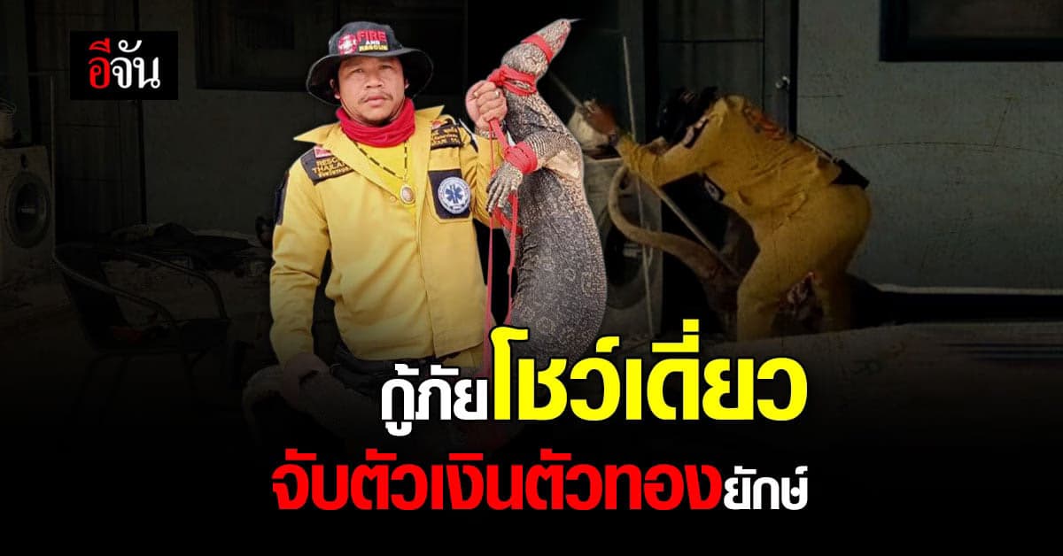 กู้ภัยโชว์เดี่ยว จับตัวเงินตัวทองยักษ์ หนัก 50 กก.