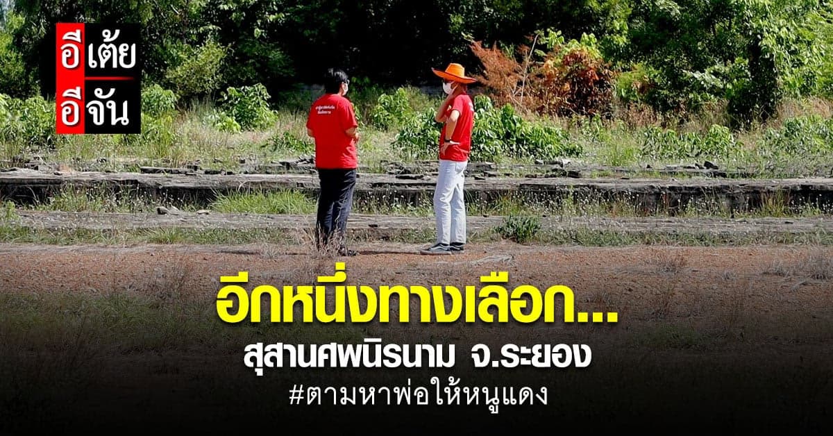 ภารกิจหนูแดงตามหาพ่อ อีกทางเลือกที่อาจเป็นไปได้…สุสานศพนิรนาม