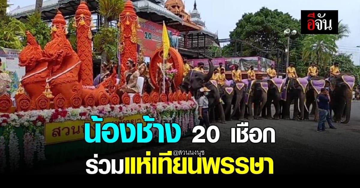 งานช้าง! สวนนงนุช จัดขบวนช้าง แห่เทียนพรรษา สืบสานประเพณีไทย