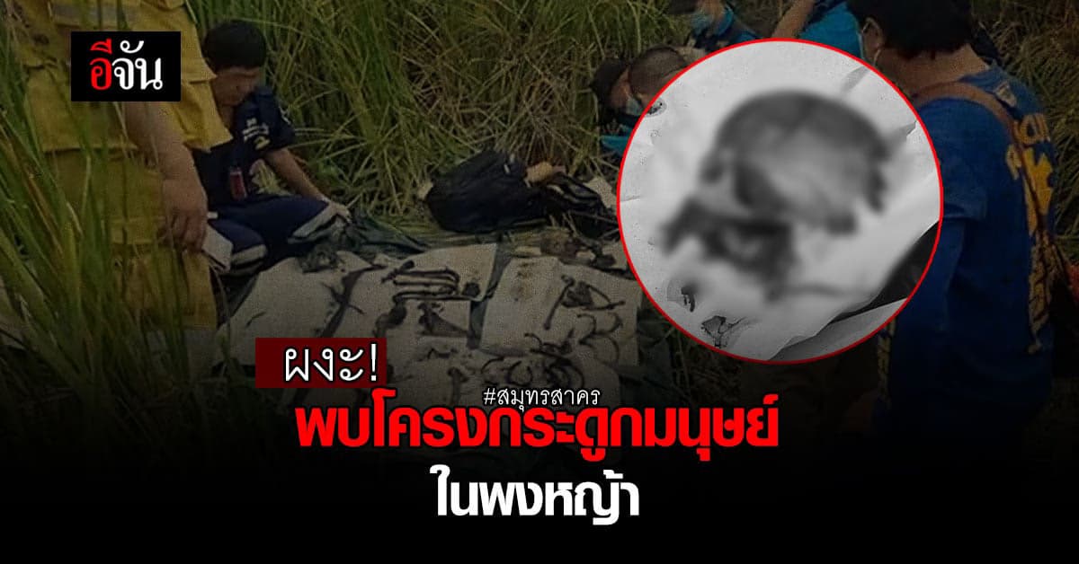 ชาวบ้านหาหอย ผงะ! พบโครงกระดูกปริศนา กลางพงหญ้า สมุทรสาคร