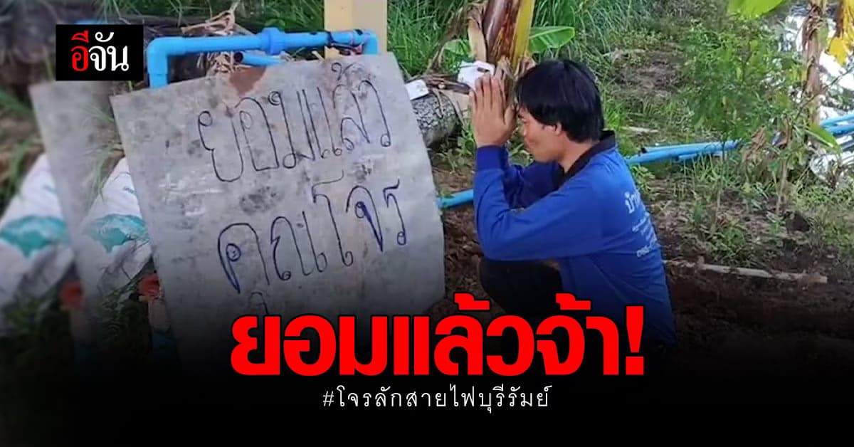 เจ้าของสวน ปักป้ายยอมแล้ว โจรขโมยสายไฟ ฝังดินยังขุดเอา โดน 2 รอบแล้ว