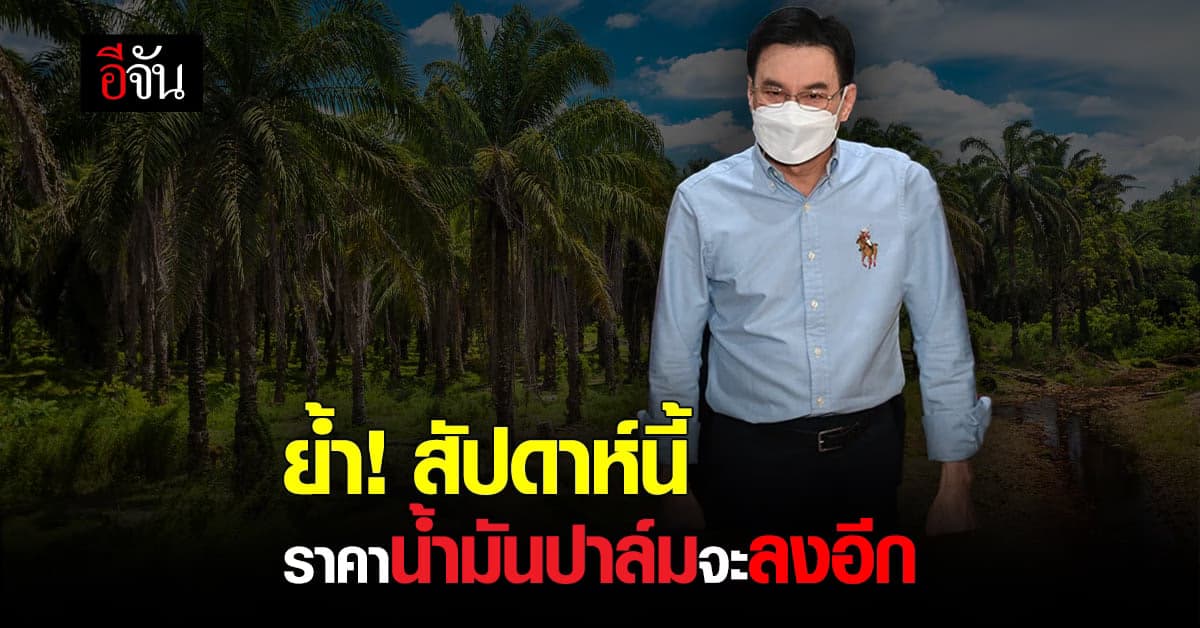 จุรินทร์ ย้ำ ราคาน้ำมันปาล์ม ลงอีก 3-4 บาท สัปดาห์นี้ หมู-ไก่ จะลงด้วย