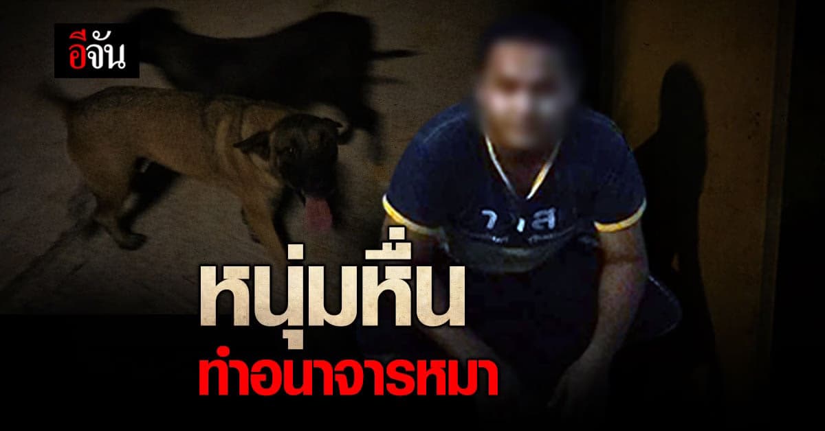 แฟนไม่ยอมมีอะไรด้วย? ชายหื่น ทำอนาจารหมา กลางสวนสาธารณะ : ลำปาง