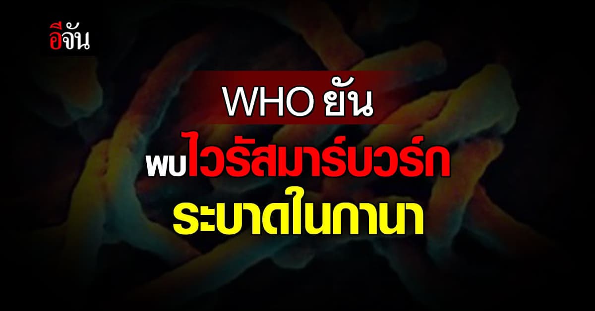 WHO ยืนยัน พบไวรัสมาร์บวร์ก ระบาดในกานา พบผู้เสียชีวิต 2 ราย