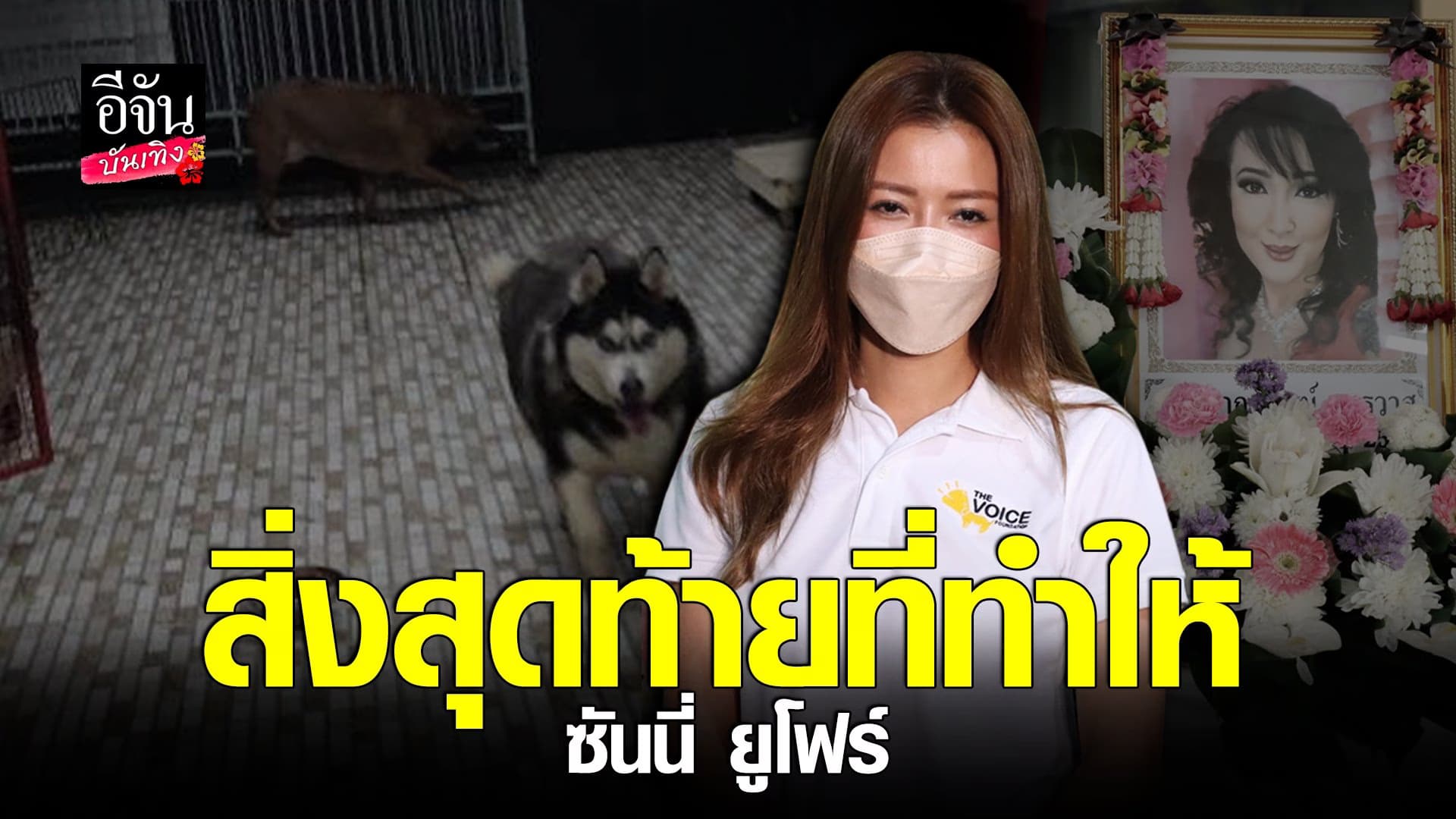 🎬 คลิปบันเทิง : เก๋ ชลดา เผยความตั้งใจช่วยดูแลสุนัขแทน ซันนี่ ยูโฟร์