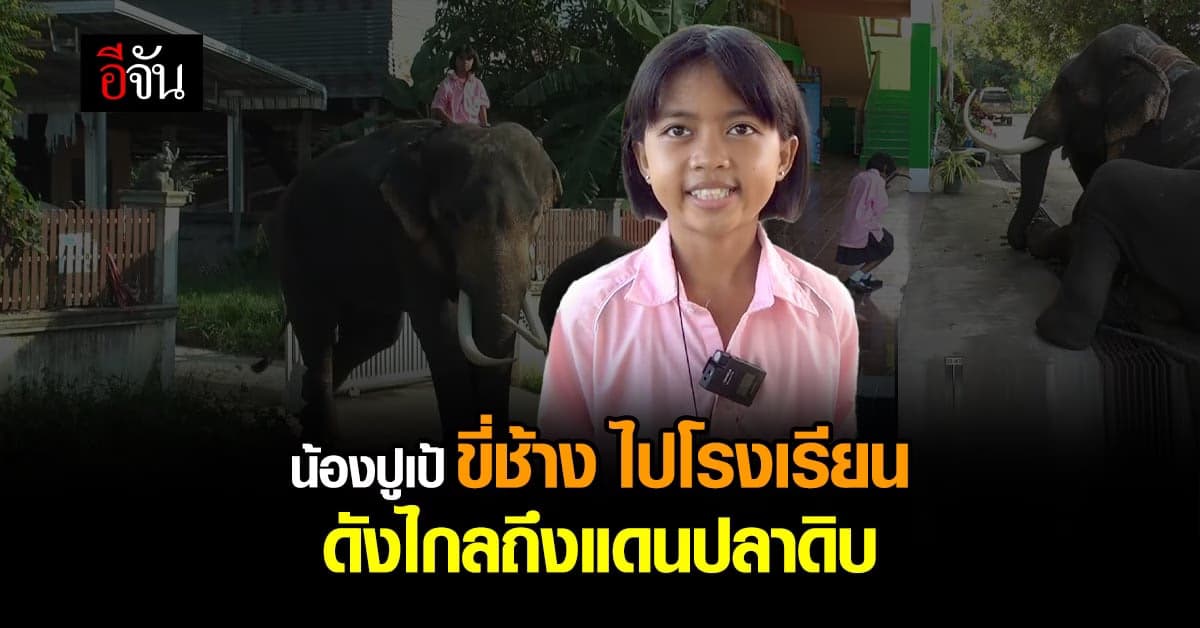 ด.ญ.ปูเป้ ขี่ช้างไปโรงเรียน ดังไกลถึงแดนปลาดิบ