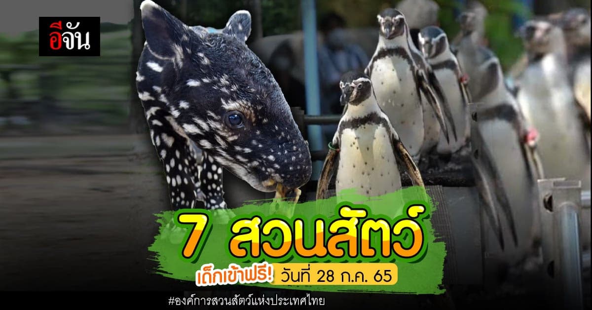 28 ก.ค.65 พาเด็กเข้าสวนสัตว์ฟรี 7 แห่งทั่วประเทศ